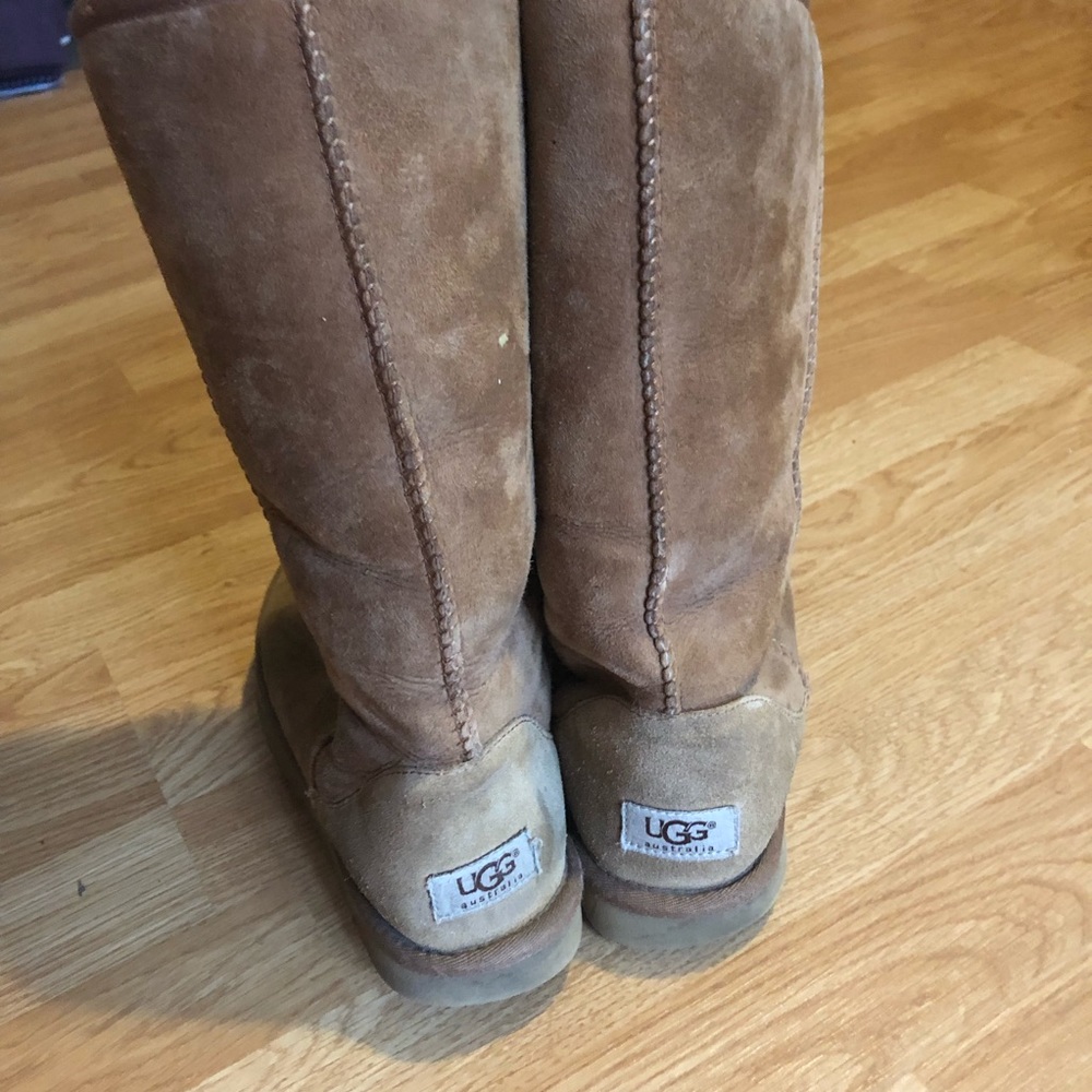 Chestnut tall uggs